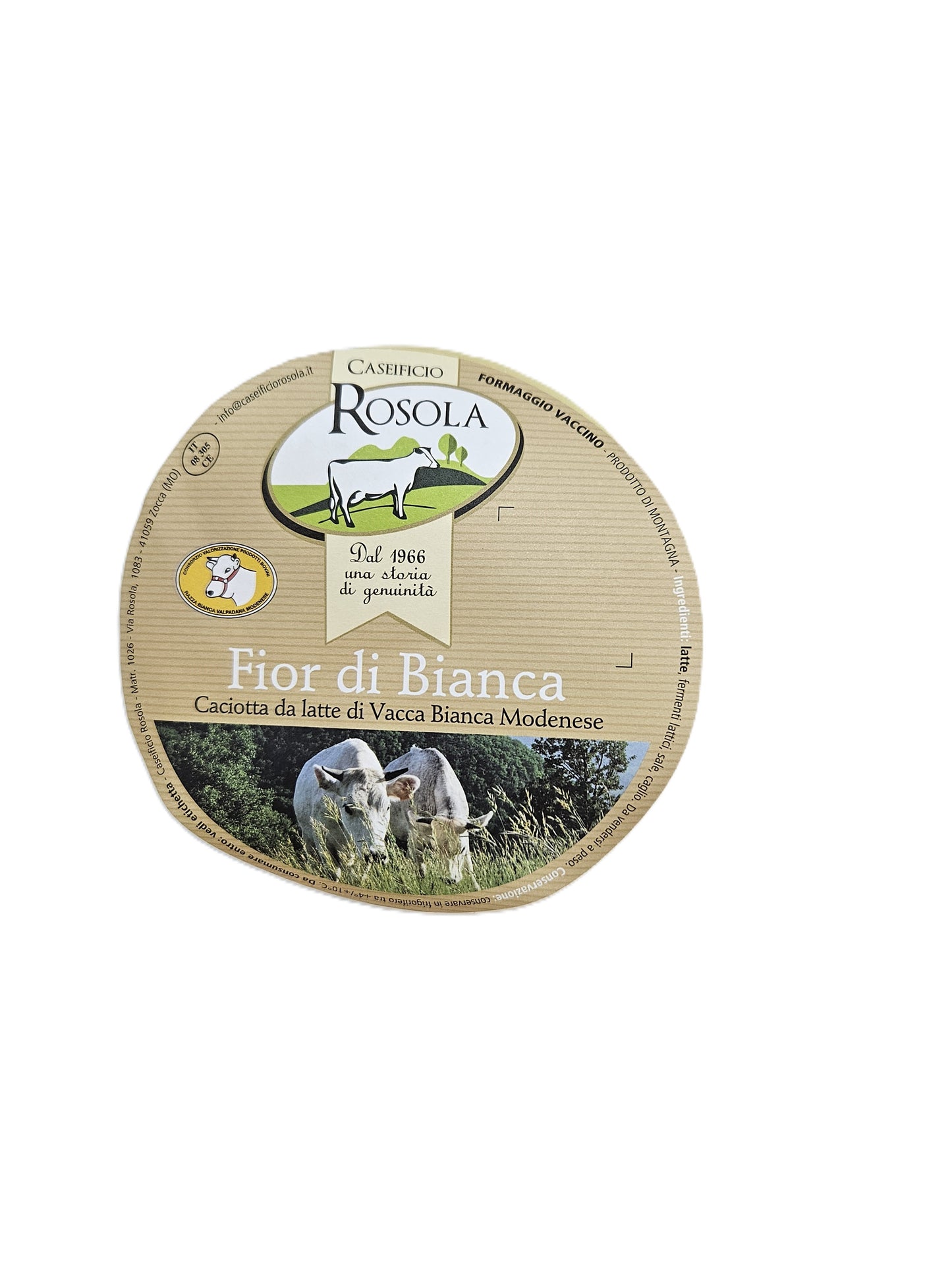 Caciotta da latte di Vacca Bianca Modenese