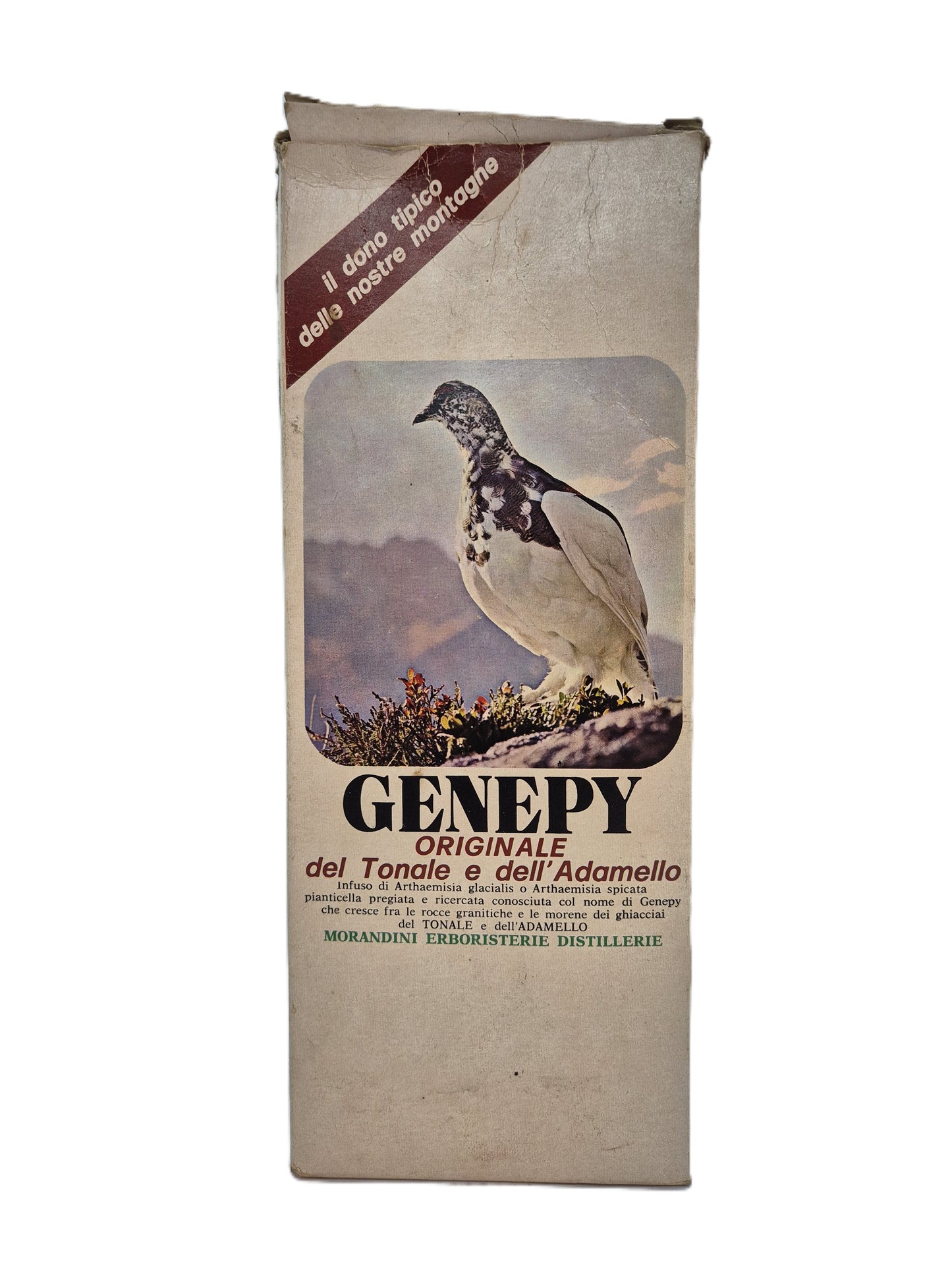Genepy del Tonale e dell'Adamello Liquore
