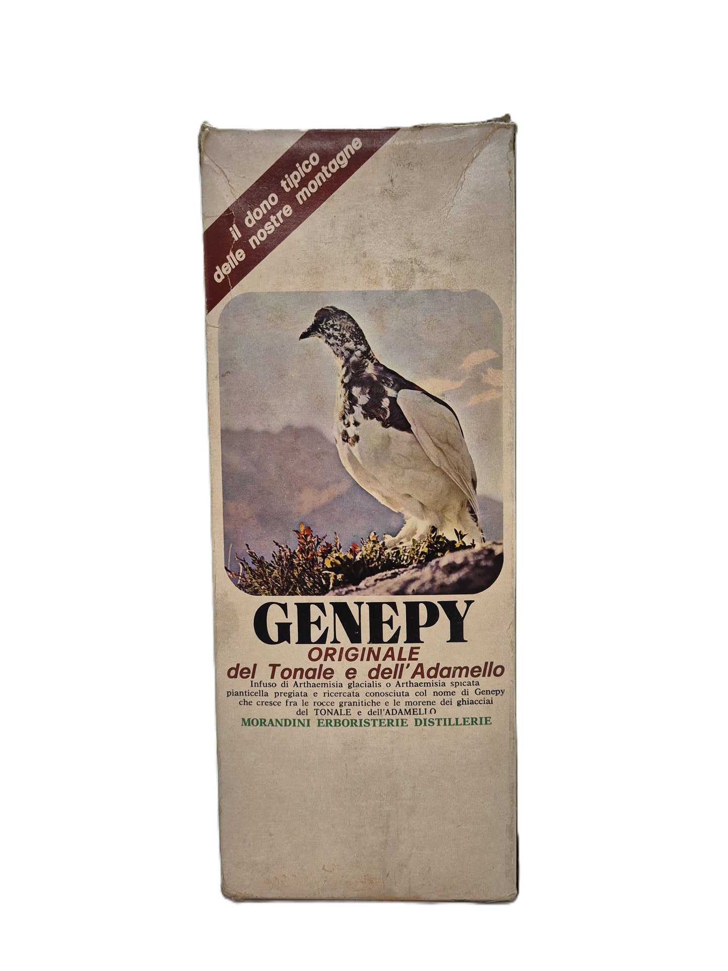Genepy del Tonale e dell'Adamello Liquore